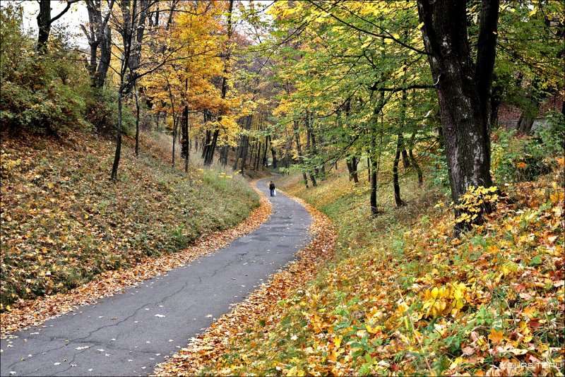 Осенний парк тропа дорожка