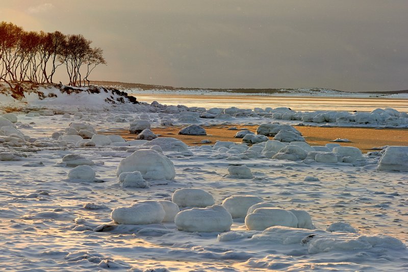 Берег белого моря зимой