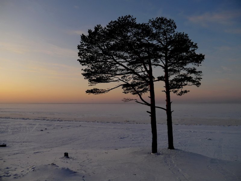 Остров Ягры Северодвинск белое море