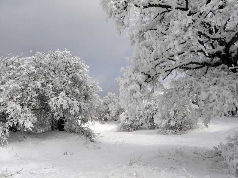 Белоснежная зима фото