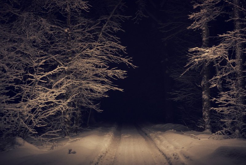 Страшный зимний лес ночью