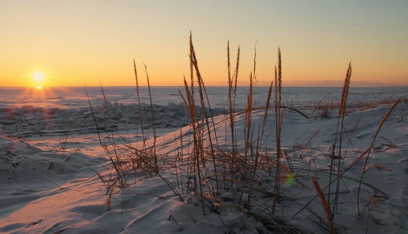Финский залив зима