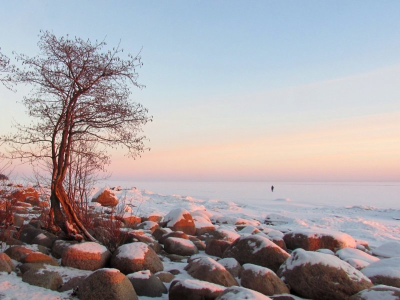Финский залив в Санкт-Петербурге зимой