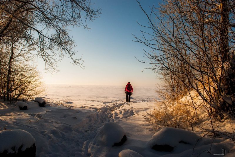 Финский залив СПБ зимой