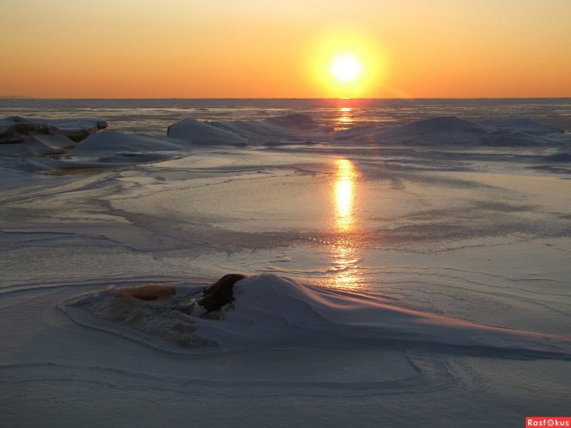 Зеленогорск финский залив зимой