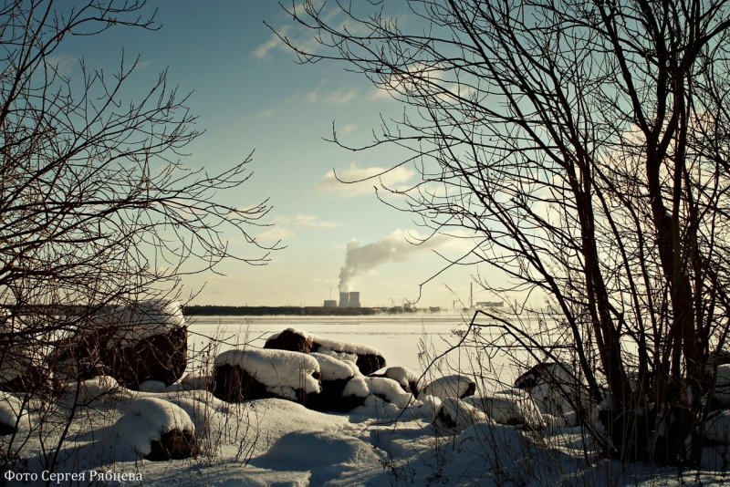 Репино финский залив зима