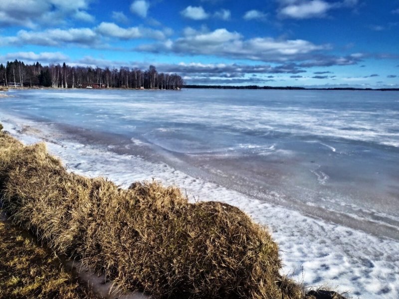 Финский залив зимой Сестрорецк закат