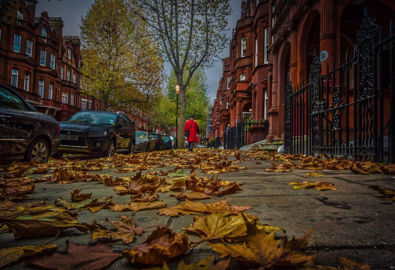 Осень в Лондоне Эстетика