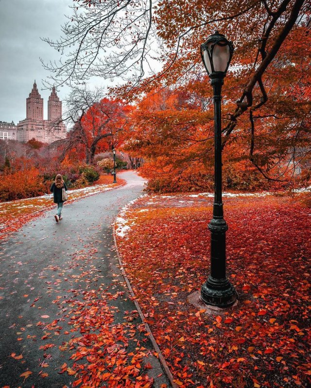 Осенний парк в городе