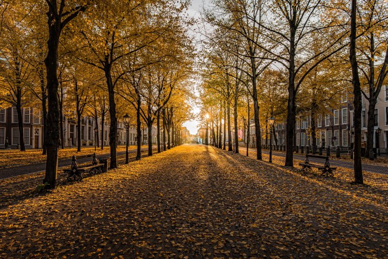 Осень в Москве HD
