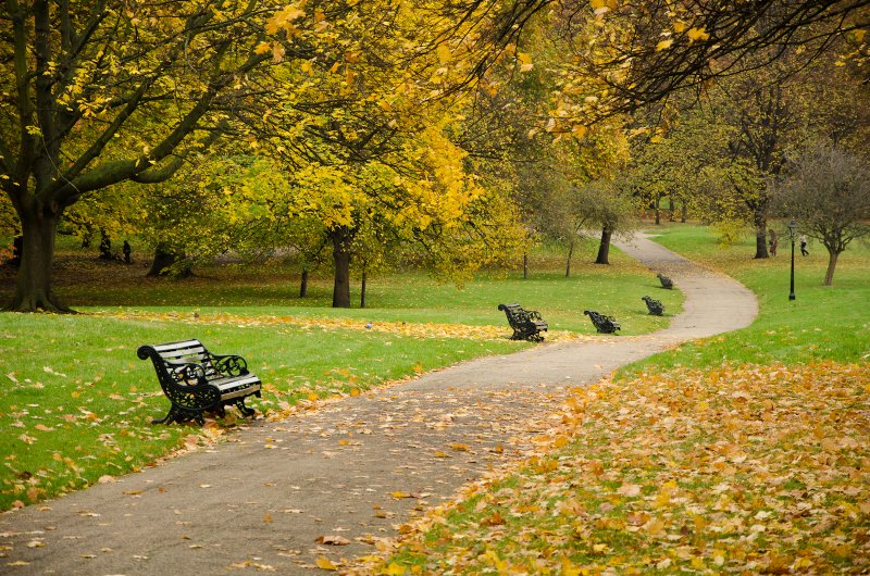 Ричмонд парк осень в Лондоне