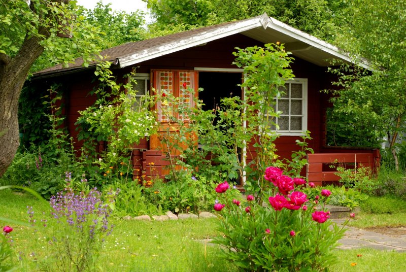 Дачный домик с садом
