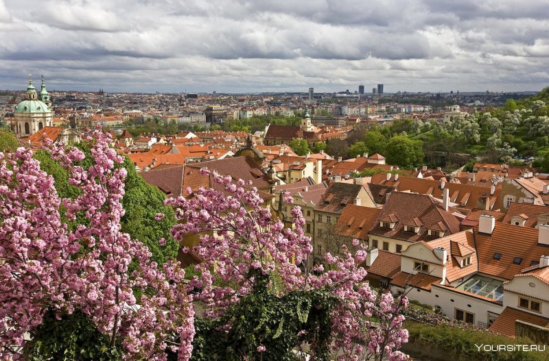 Прага Чехия весной