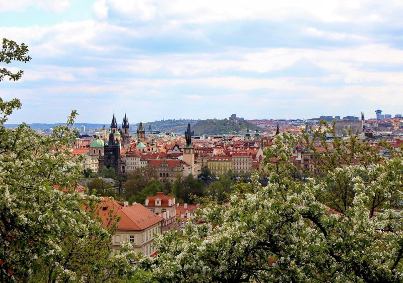 Хартиговский сад в Праге фото
