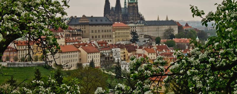 Благоустройство в Праге