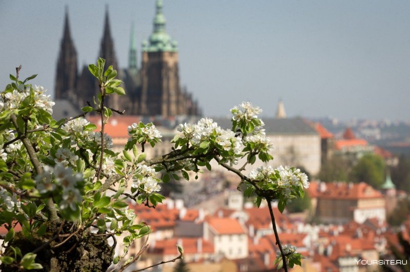 Прага Чехия весной