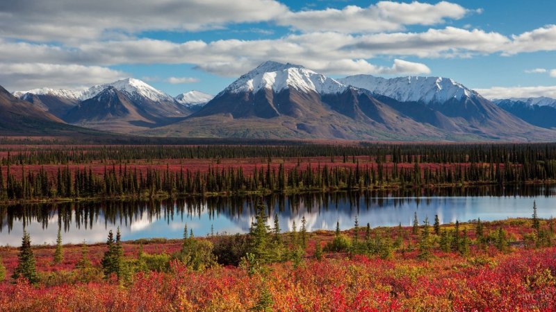 Аляска Анкоридж природа