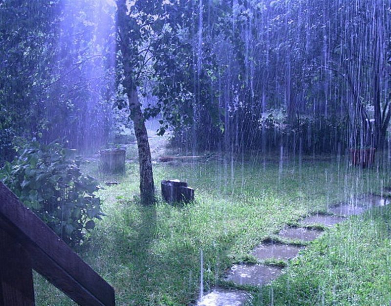 Летний дождь в саду