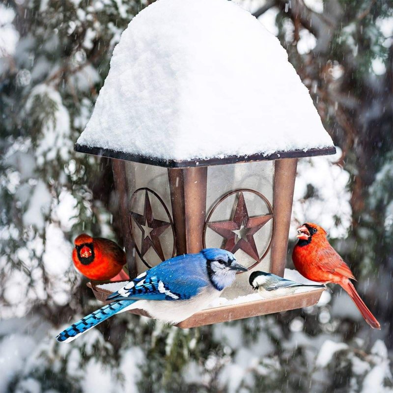Кормушка-домик для птиц зимой