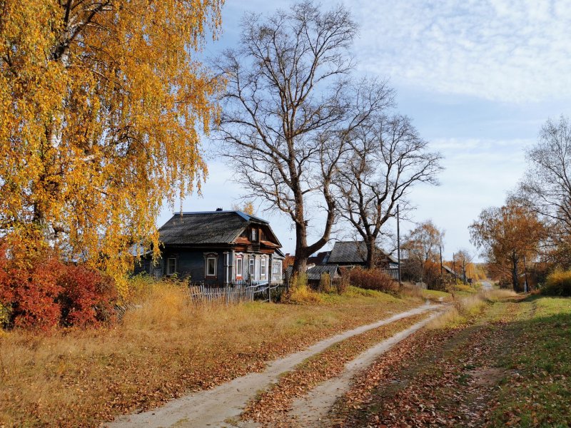 Пушкин Золотая осень деревня