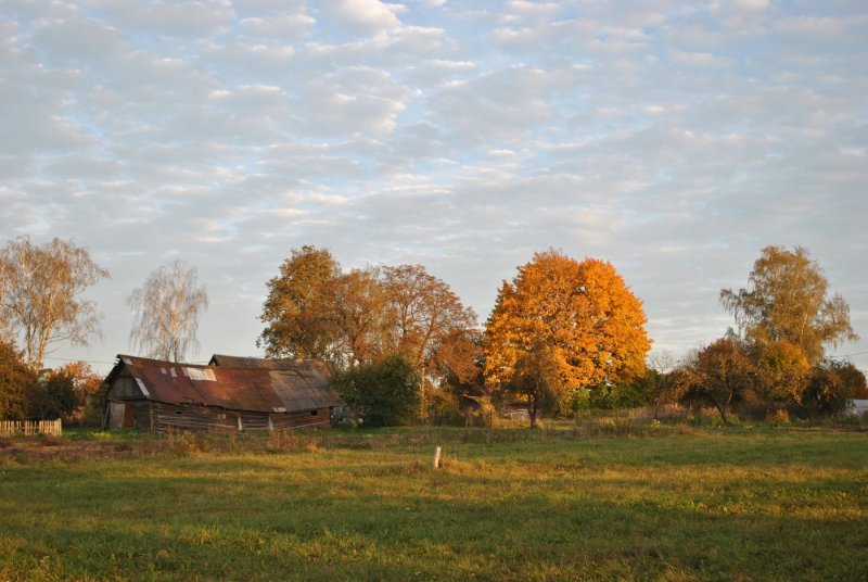 Золотая осень в деревне
