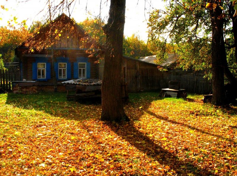 Тверская деревня осень