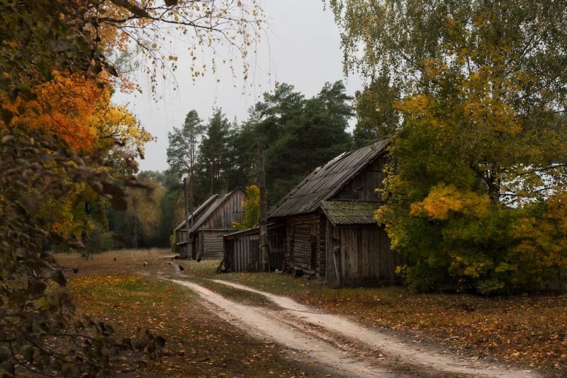 Деревня домик осень двор темень