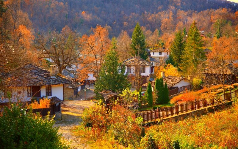 Осень на Алтае деревня