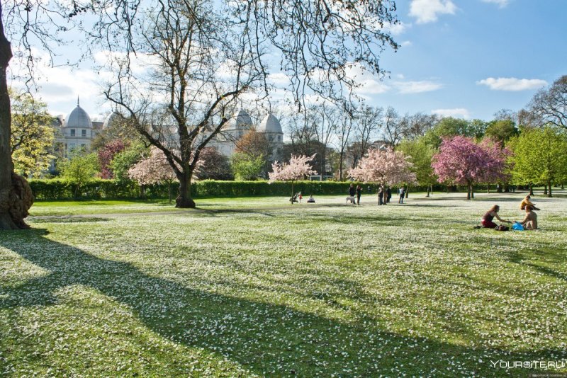Парк в Лондоне весной