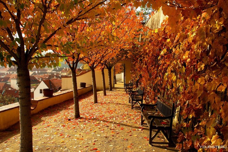 Золотая осень в Праге