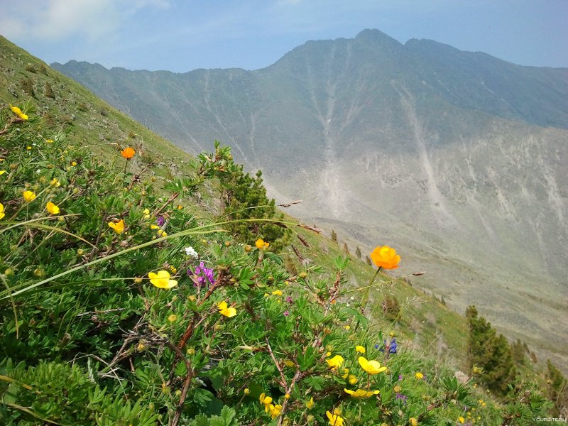 Аршан горы Саяны