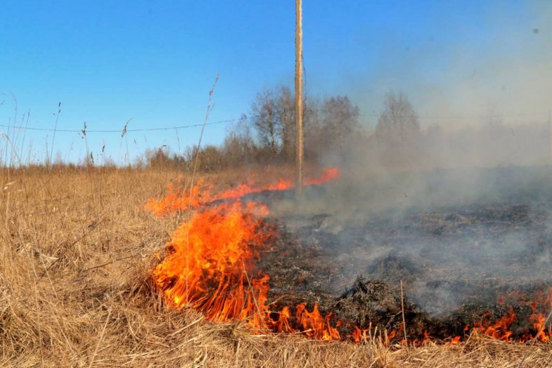 Пожароопасный период в Республике Марий Эл