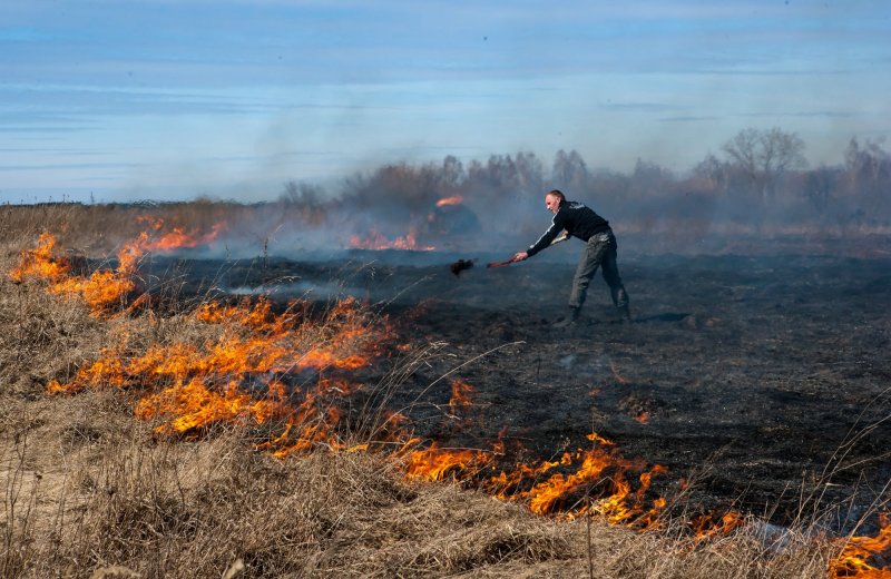 ИАС Лесные пожары в Республике Коми 2.0