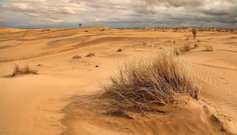Пейзаж пустыня Туркменистан