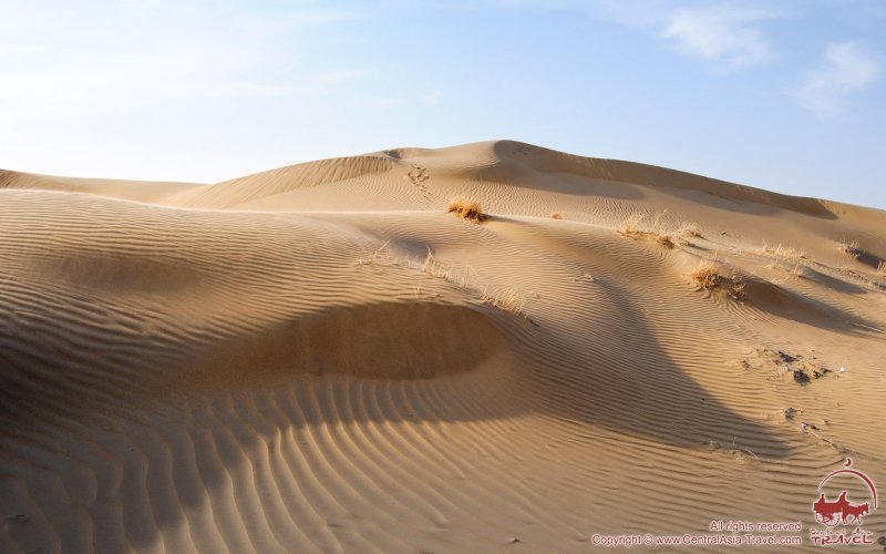 Каракумская пустыня Туркменистан