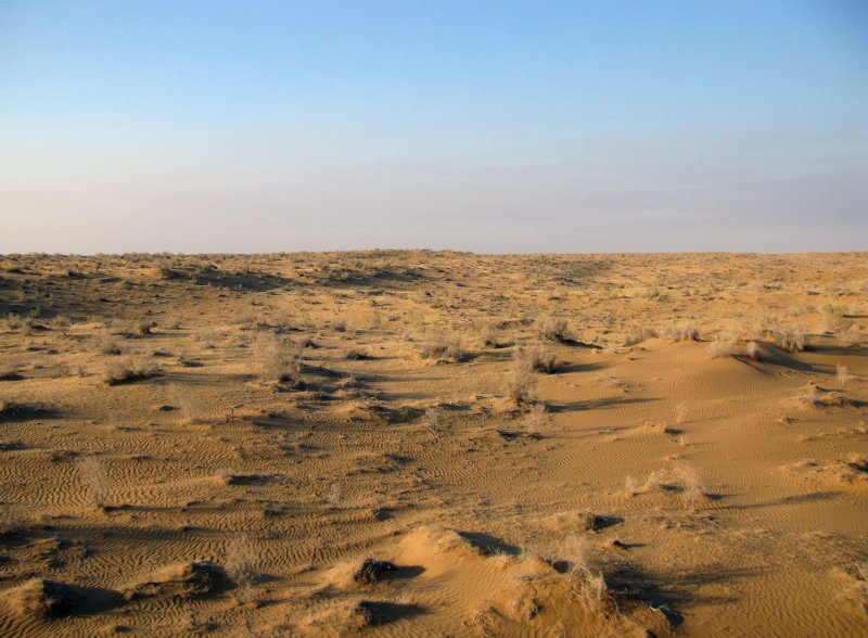 Узбекистан пустыня Каракум