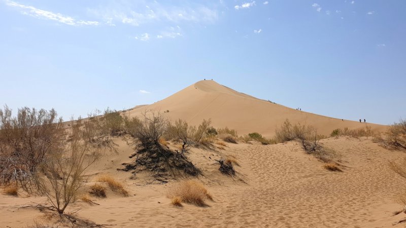 Пустыня Каракумы Туркменистан