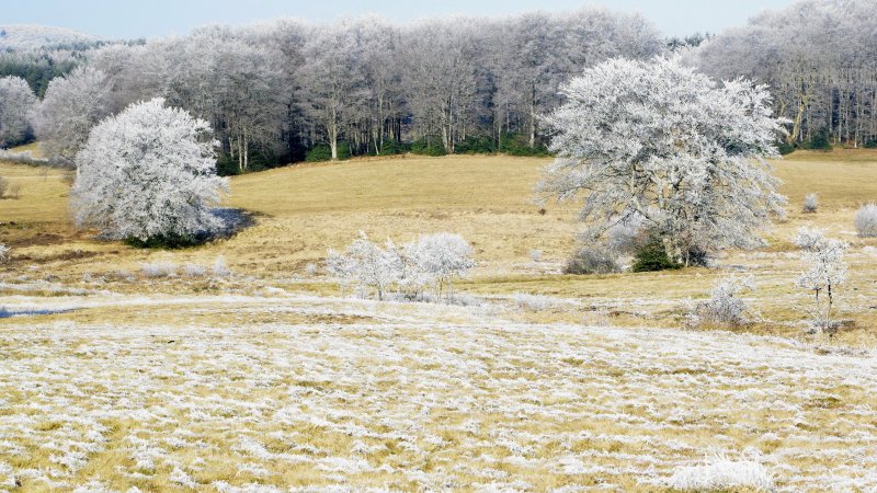 Ранняя Весна в Белоруссии