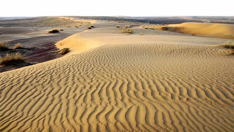 Туркмения пустыня Каракум