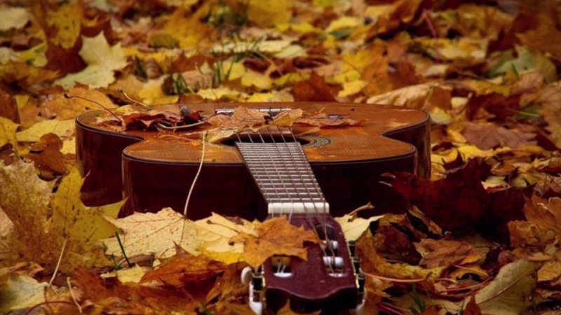 Гитара в осенней листве