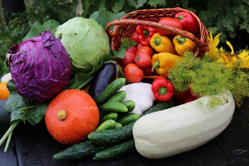 Дары осени овощи и фрукты