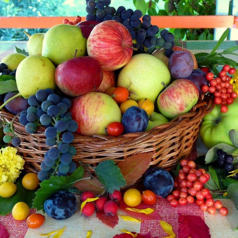 Осенние дары фрукты
