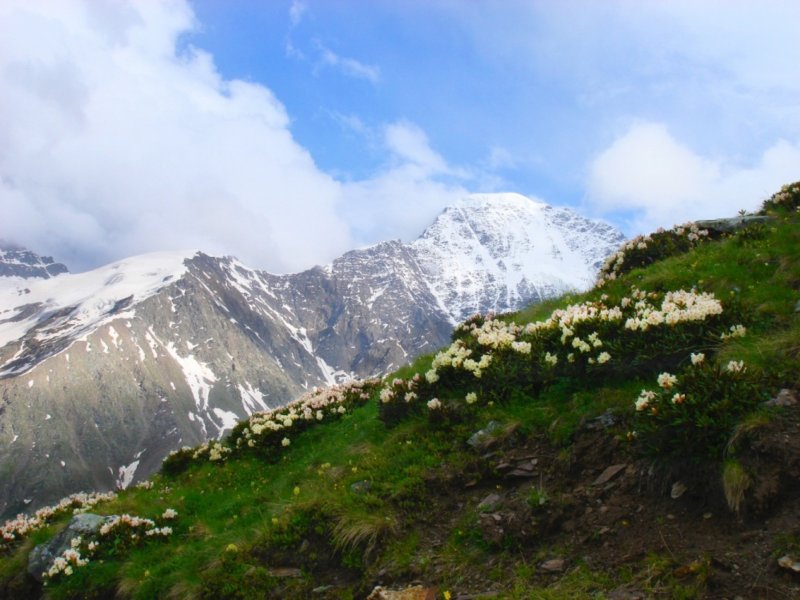 Кавказ горы Чегет