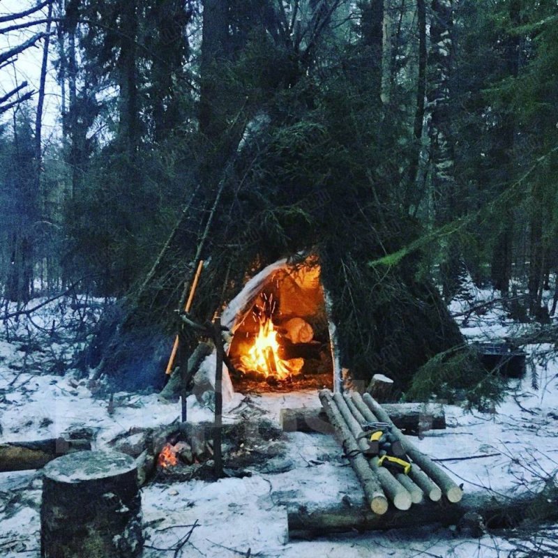 Выживание в лесу зимой