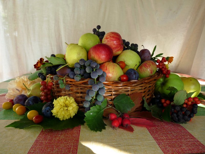 Осенние фрукты и ягоды