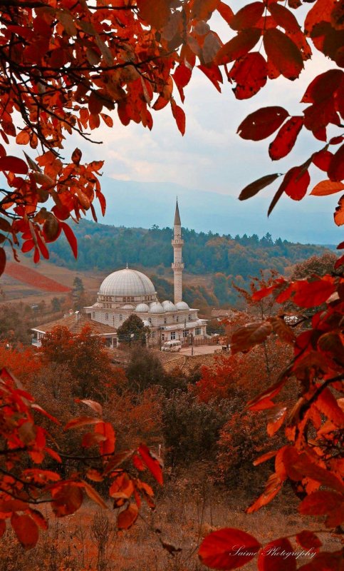 Султанахмет мечеть осень