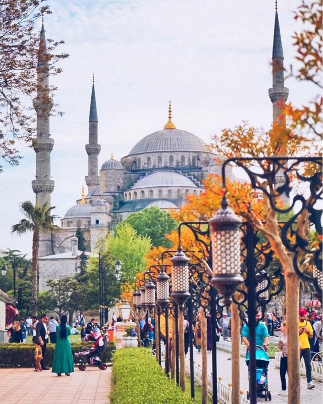 Стамбул финдыкзаде