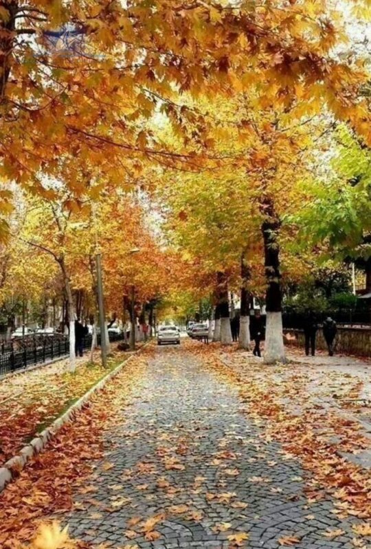 Осень в Турции