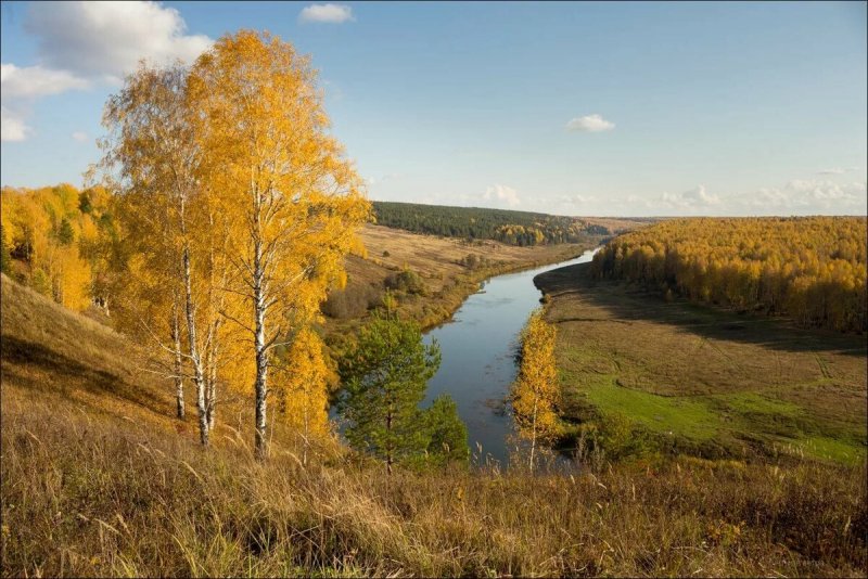Осенняя природа средней полосы России
