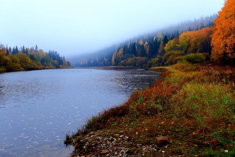 Река Усьва осень